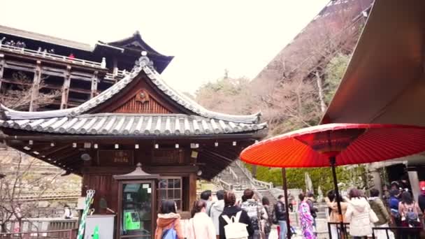 Киото, Япония - март 2015: Большая древняя деревянная структура Киёмидзу-дэра (храм Киёмидзу) вид снизу с красным зонтиком, достопримечательностью и символом Киото — стоковое видео