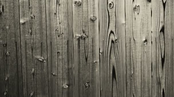 Wooden plank, wood panel background texture with copy space — Stock Video