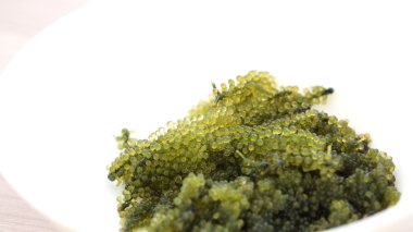 Deniz üzüm yosun, uni budou. Japon deniz yosunu