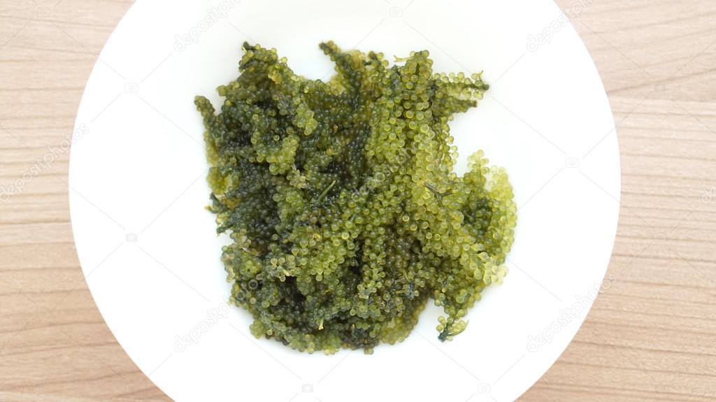 Sea grape seaweed, uni budou. japanese seaweed