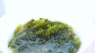 Umibudou, yeşil havyar (Caulerpa lentillifera) Japon üzüm tohum yosun video