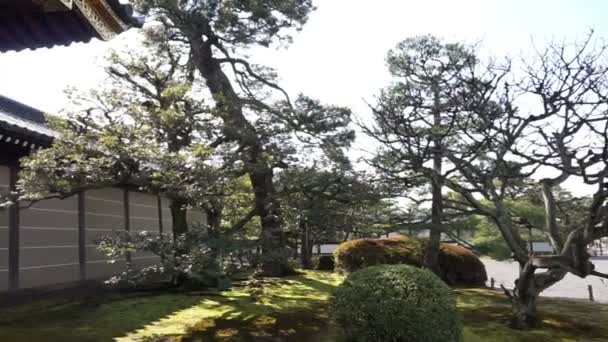 KYOTO, JAPÓN - Marzo de 2015: Castillo histórico del Shogun, palacio de Nijo en Kyoto, Japón — Vídeo de stock