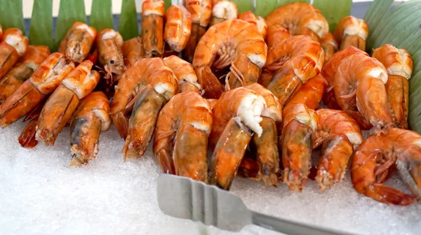 Chlazené sázené krevety — Stock fotografie