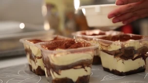 Odkurzanie ciasto tiramisu przez proszku kakaowego — Wideo stockowe