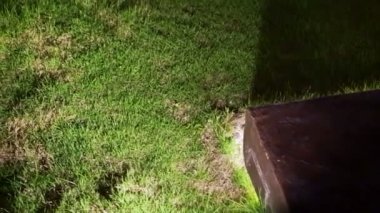 Park Bahçe, peyzaj tasarım geceleri aydınlatma