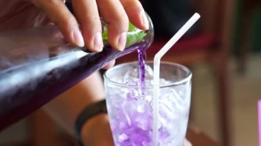 Herb içki, kelebek bezelye, Clitoria ternatea L. çiçek, limonlu karışık cam limon olmak döktü