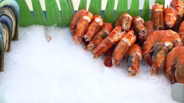 Barra de frutos do mar no gelo, mexilhão de camarão, caranguejo e concha — Vídeo de Stock