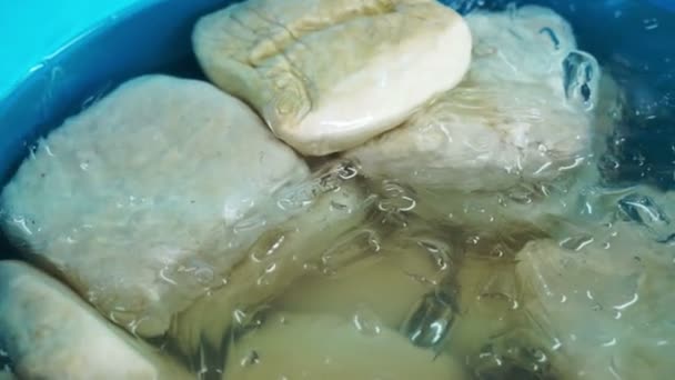 素食主义者，素食主义者亚洲豆腐在冰桶在新鲜市场 — 图库视频影像