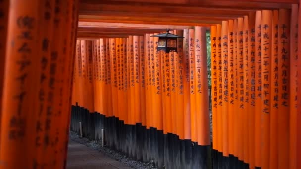 Torii portão vermelho no templo Fushimi Inari santuário em Kyoto, Japão — Vídeo de Stock