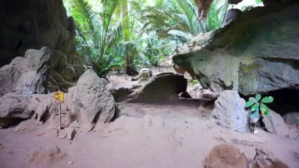 Cueva de la selva tropical y rocas con árboles exuberantes — Vídeo de stock