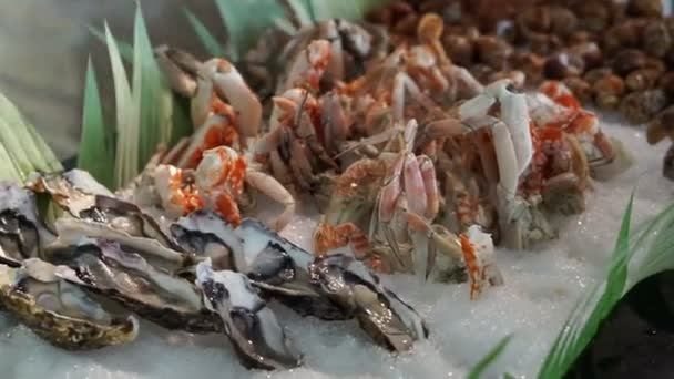 Батончик с морепродуктами на льду, креветочная мидия, краб и раковина — стоковое видео