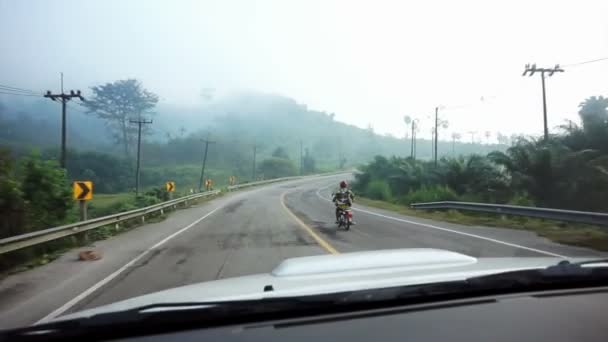 Selva tropical con niebla matutina. diversión conducción de coches en nebuloso viaje por carretera pov — Vídeo de stock