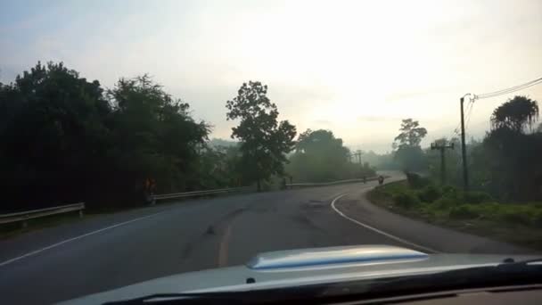 Jungle tropicale avec brouillard matinal. fun Voiture de conduite dans le brouillard road trip pov — Video