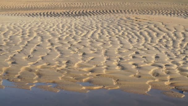 Creste e solchi sulla spiaggia. sabbia bagnata in spiaggia che mostra forma dopo marea — Video Stock