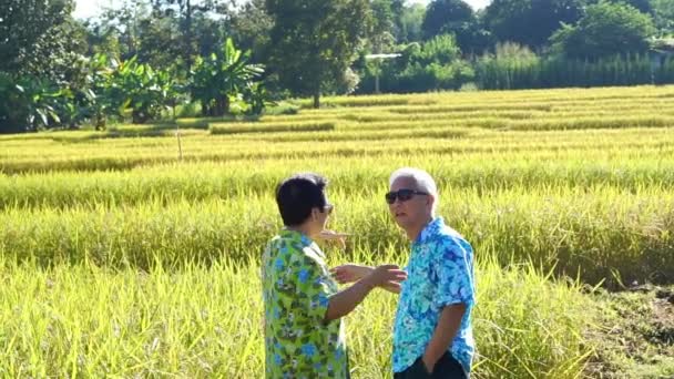 Video asiatiska senior par promenader och ser längs risfält. Titta på natur och jordbruk företag — Stockvideo