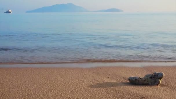 Video tropischer Strand mit singendem Korallenfelsen und ruhiger Meereswelle — Stockvideo