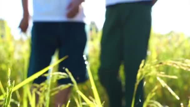 Cool asiática senior pareja disfrutando de sol en naturaleza prado campo en blanco camisas — Vídeo de stock