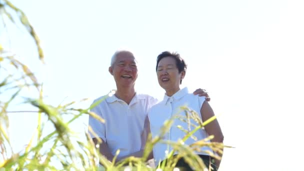 Крутая азиатская старшая пара наслаждается солнцем на лугу природы на белых рубашках — стоковое видео