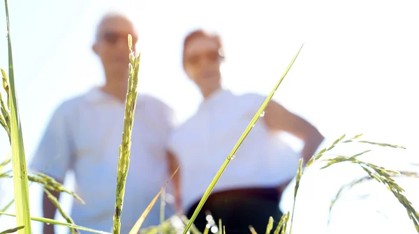 Cool asiática senior pareja usando gafas de sol abrazo en frente de — Foto de Stock