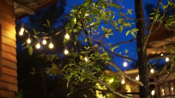 Asya tarzı asılı festival ışık satır — Stok video