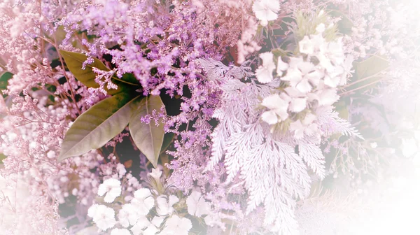 Blomma bröllop pastellfärgade romactic bakgrund — Stockfoto