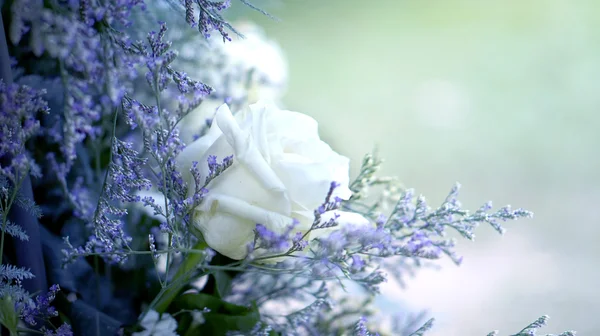 Mariage de fleurs fond romantique pastel — Photo