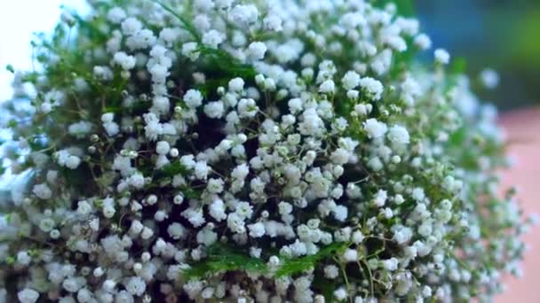 Gezwollen kleine witte boeket bloem plant — Stockvideo