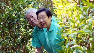 Asya kıdemli iki ağaç bush, doğa kavramı arkasında. Hatıraları