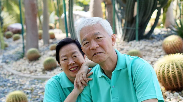 Kaktusz kert-ázsiai idősebb pár — Stock Fotó