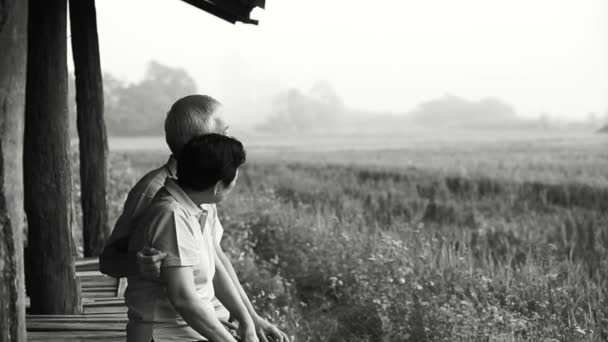 Asian senior couple sitting in the gazebo next to rice field. Farm and agricultural business black and white — Stock Video