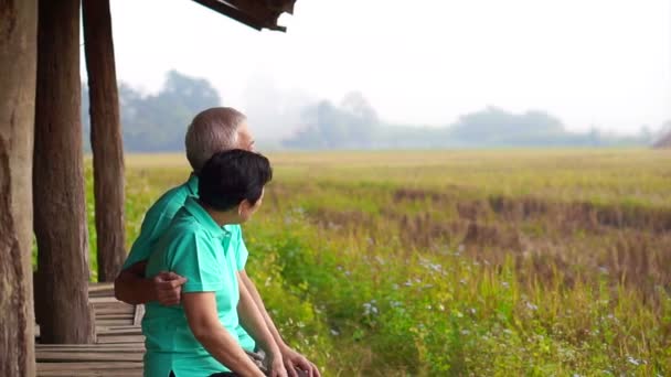 Asiatiska senior paret sitter i lusthuset bredvid risfält. Gård och jordbruket business — Stockvideo