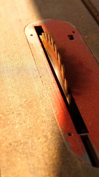 Carpenter wood saw circular blade with dust in morning sun — Stock Photo, Image