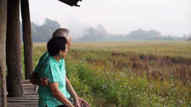 Asiatiska senior paret sitter i lusthuset bredvid risfält. Gård och jordbruket business — Stockvideo