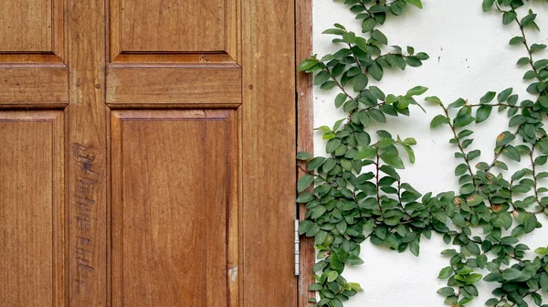 Wood door and green wall texture — Stock Photo, Image