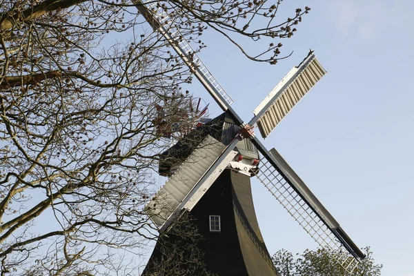 Moulin à vent — Photo