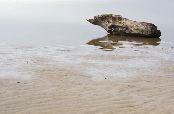 Spring thaw in Siberia — Stock Photo, Image