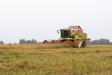 Claas adlı alanda iş makineleri Hasat