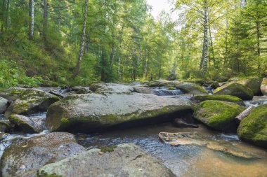 Dağ Nehri boyunca kayalar