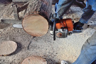 Ağaç kesmek için testere