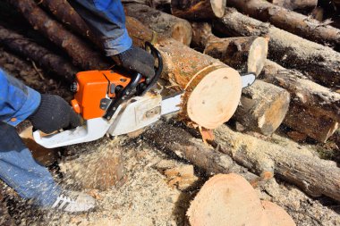 Ağaç kesmek için testere