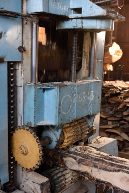 Ağaç işleme makineleri