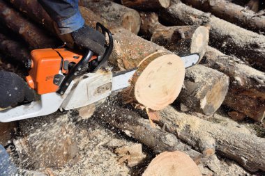 Ağaç kesmek için testere