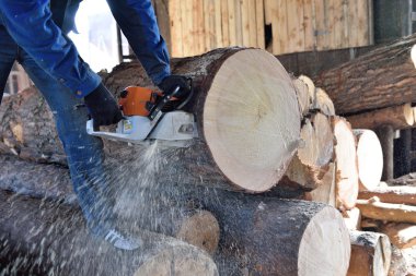 Ağaç kesmek için testere