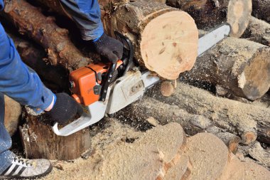 Ağaç kesmek için testere