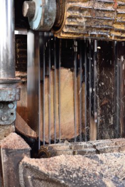 Ağaç işleme makineleri