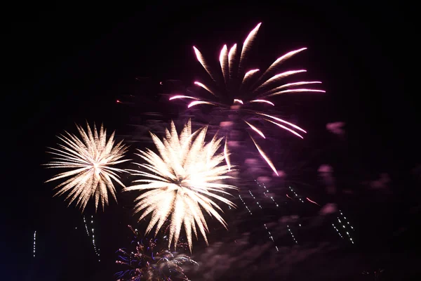 Feux d'artifice — Photo