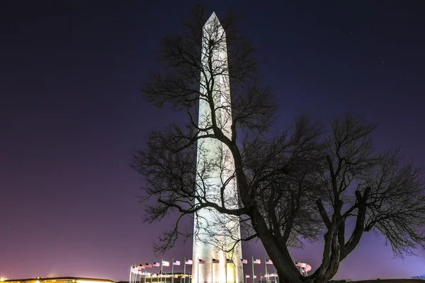 Washington monument på natten — Stockfoto