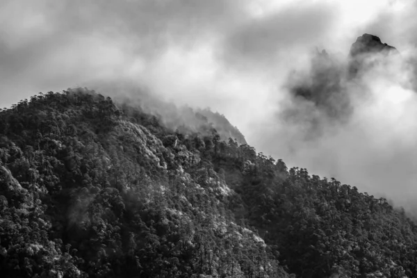 多雾多云的美丽的山景 — 图库照片