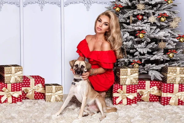 Joyeux Noël Joyeuses Fêtes Jolie Femme Chien Amusent Noël Beau — Photo