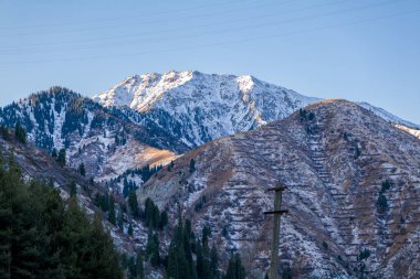 Ağaçlar ve dağlarla kaplı kış manzarası